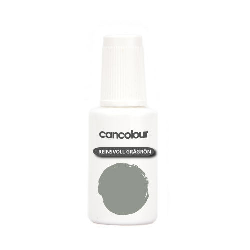Color for Reinsvoll Grey-green